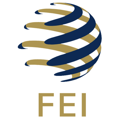 Forensic Engineering Inc.